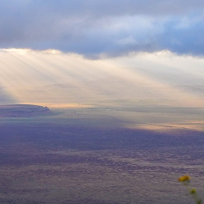Ngorongoro Crater