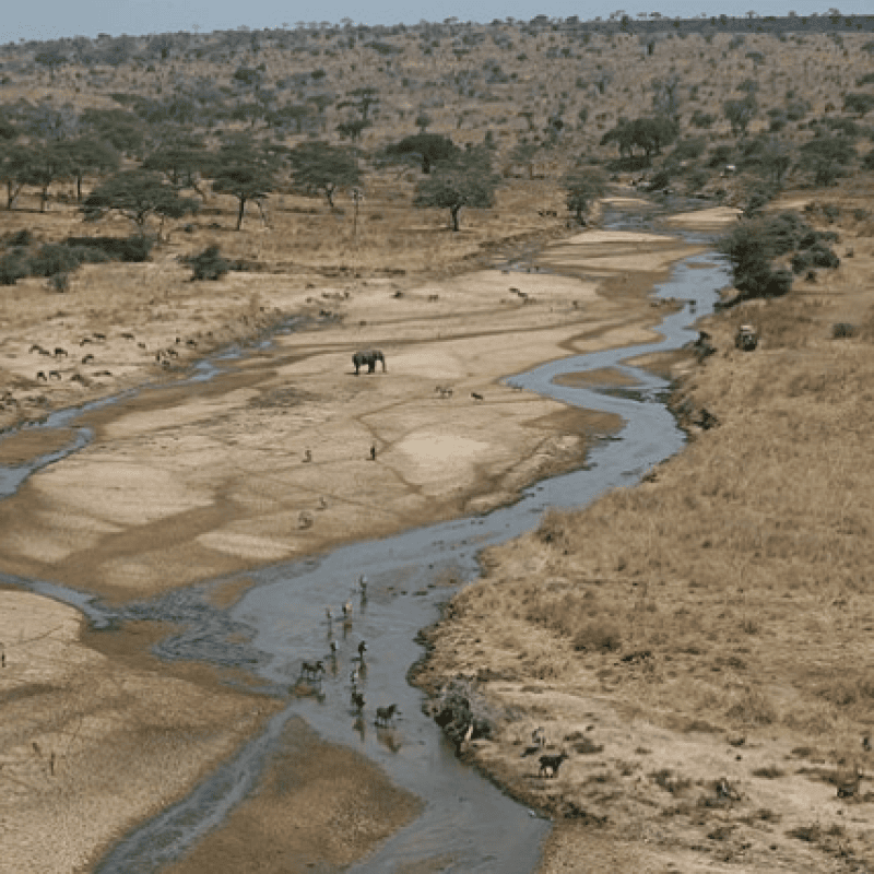 Tarangire National Park