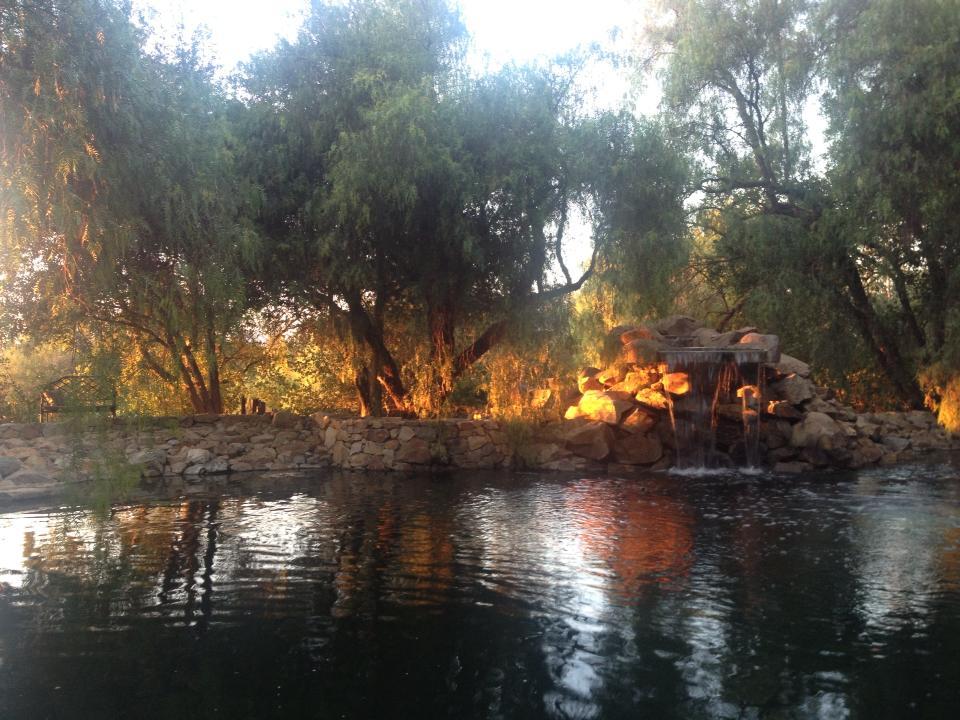 Wine Tasting at Hill Top Winery