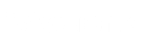 VisionX