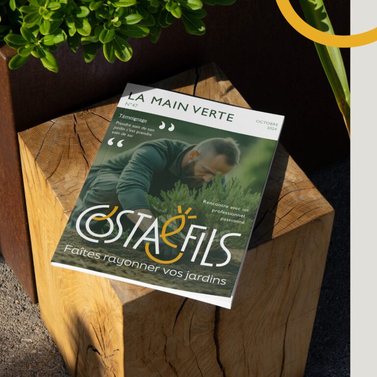 Création d'une identité visuelle pour Costa & Fils