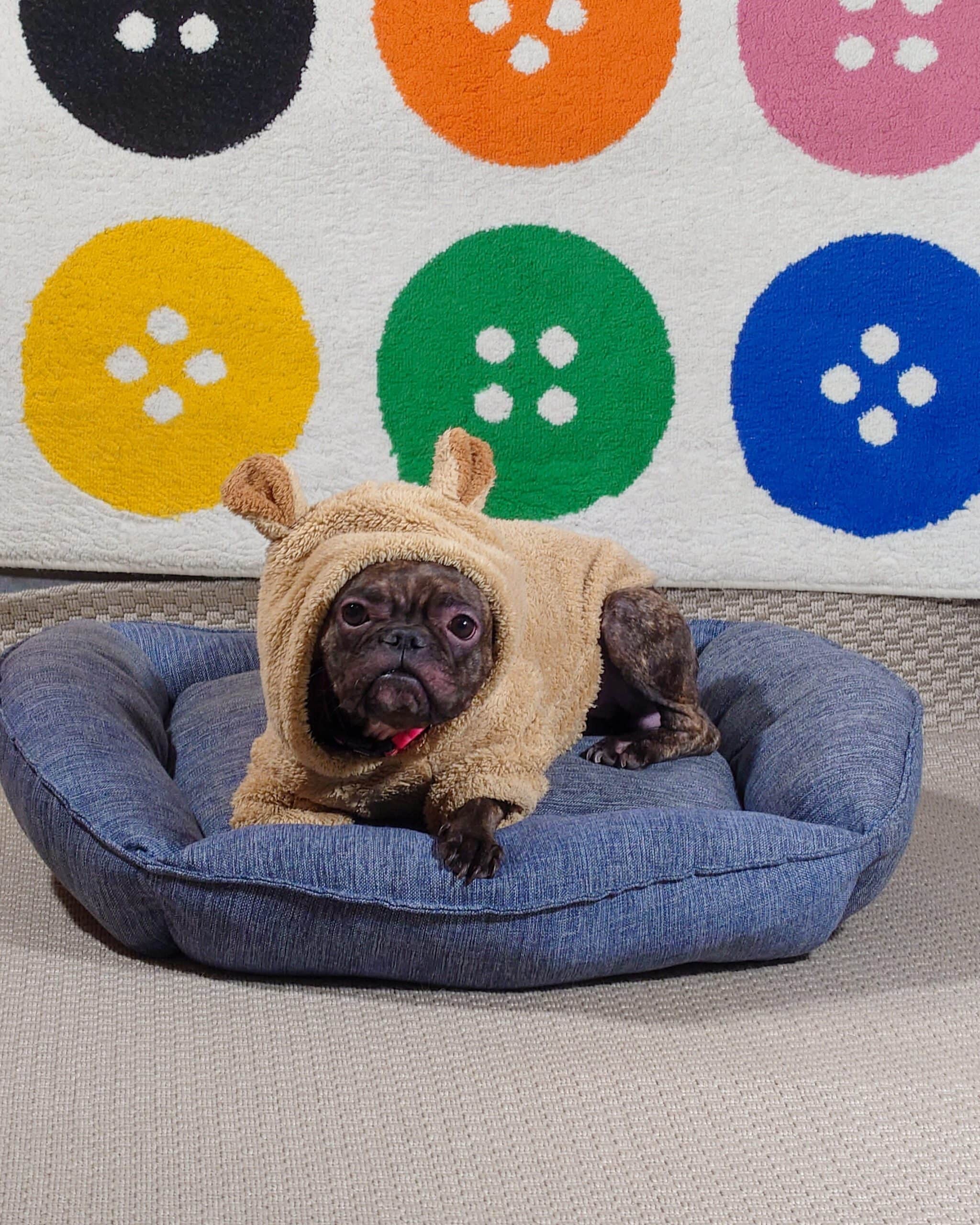 20240119_155712 (1) (1)