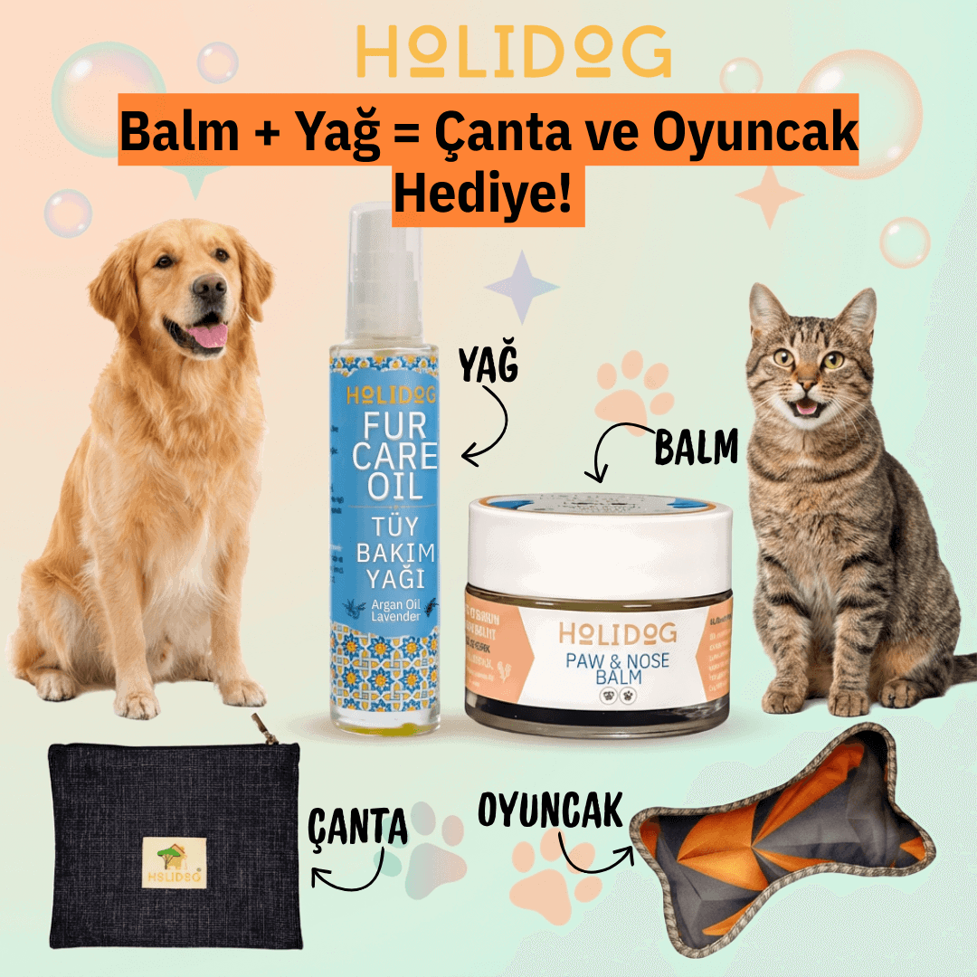 HOLİDOG ÜRÜN REKLAM GÖRSELLERİ 2