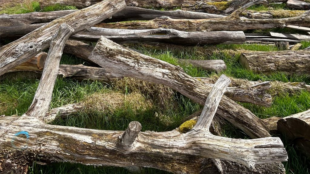 Natur als Spielraum