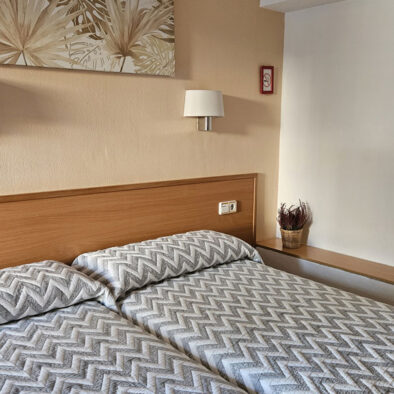 Habitación doble con 2 camas individuales
