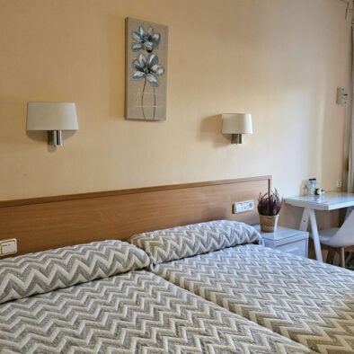 Habitación doble con 2 camas individuales