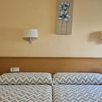 Habitación doble con 2 camas individuales