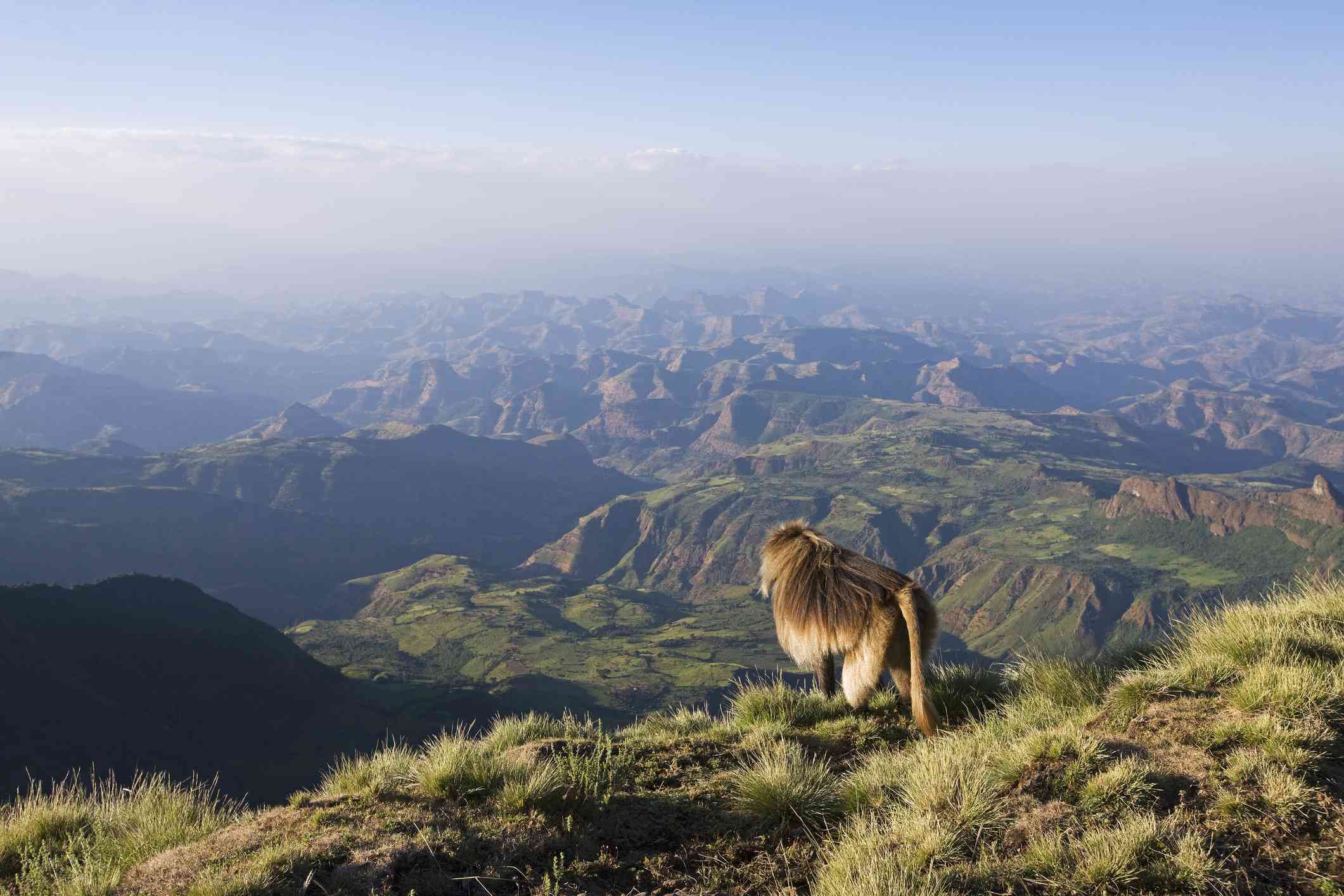 Golden sunrise over the Simien Mountains – Ethiopia’s majestic highlands