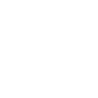 Projekt_Text (6)
