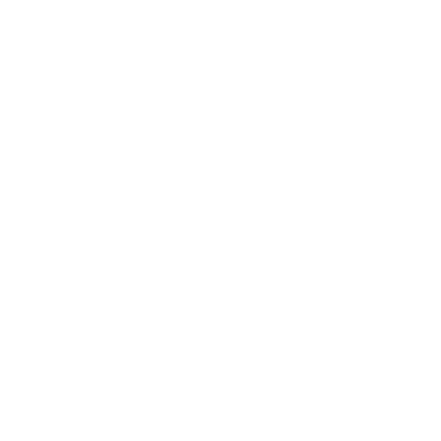 Projekt_Text (9)
