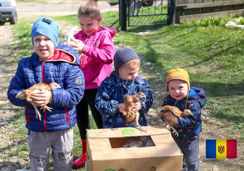 20250412_1S3A9268_web_beitragsbild