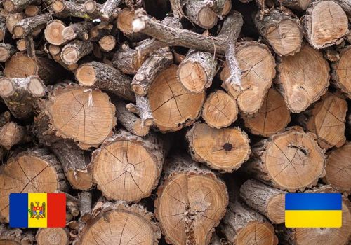 20251105001_beitragsbild_md-ua