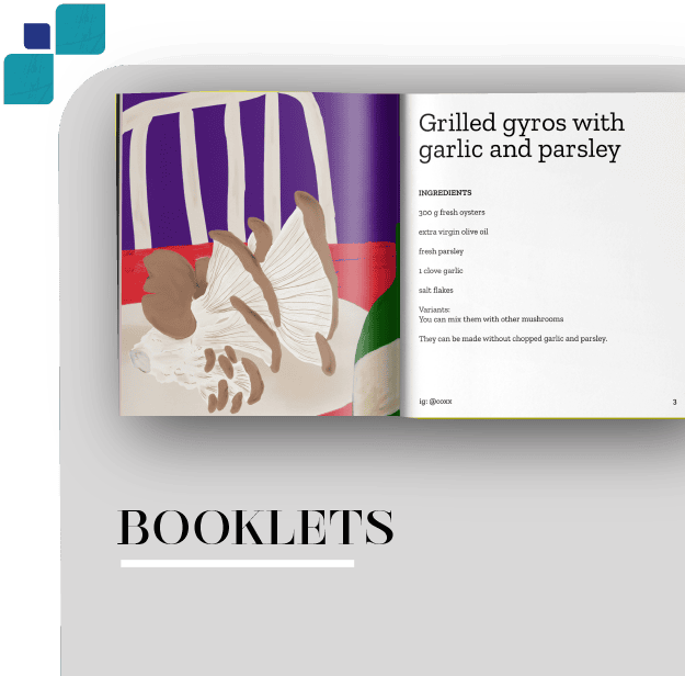 picture of booklets our services at muiz website design