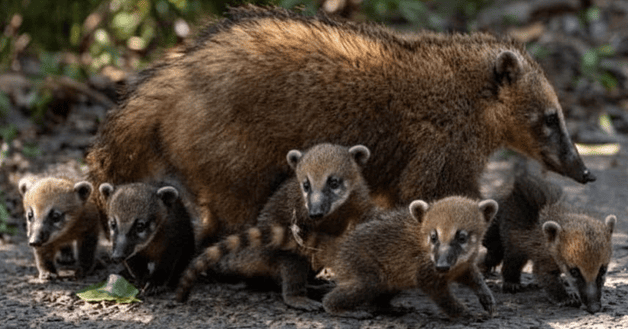 Jornada soleada y continuidad de buen tiempo el fin de semana