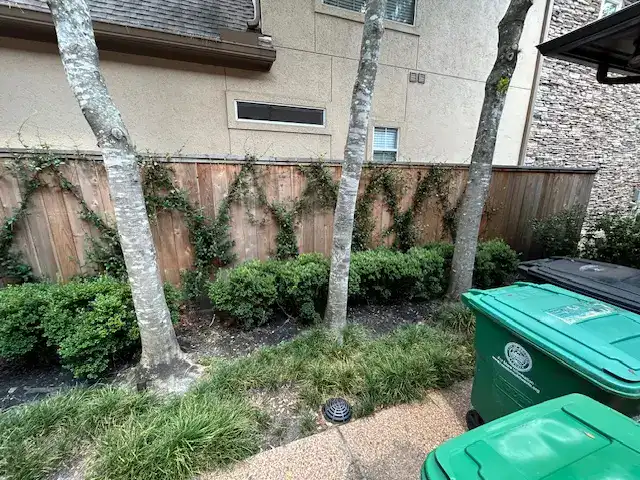 Before