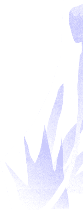 vector-2