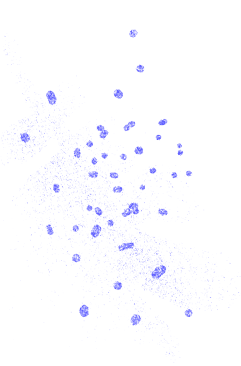 vector-10