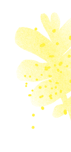 vector-4