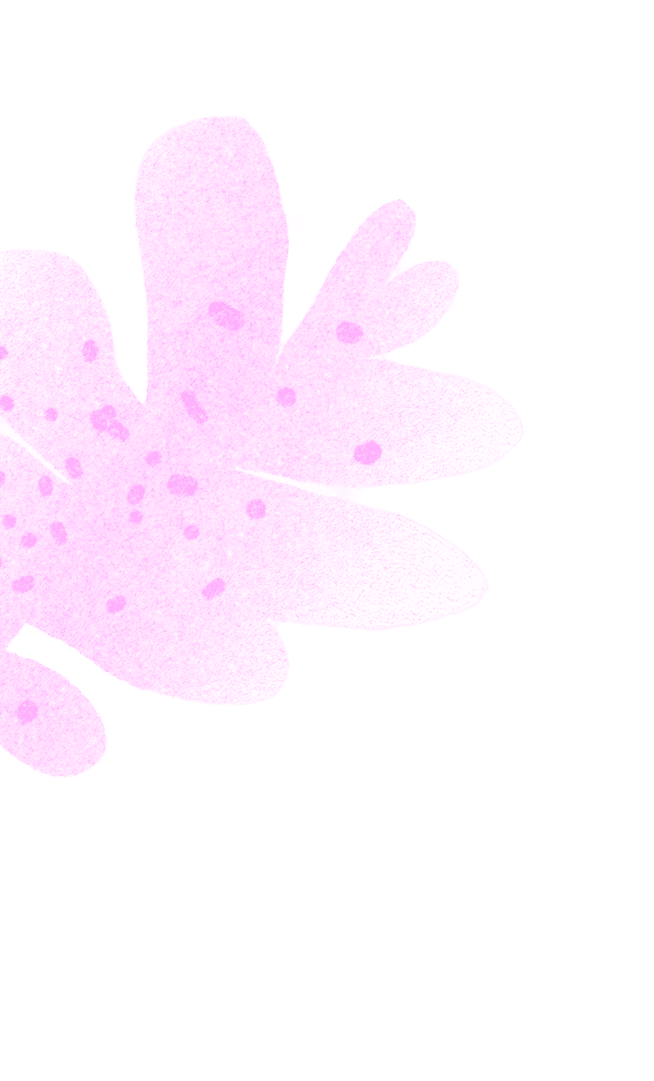 vector-5