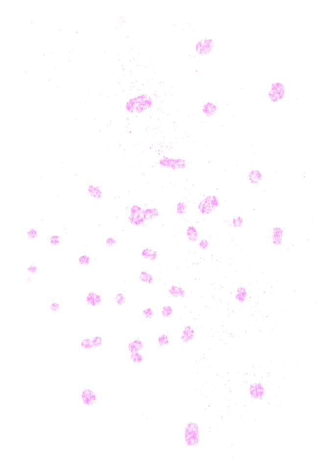 vector-8