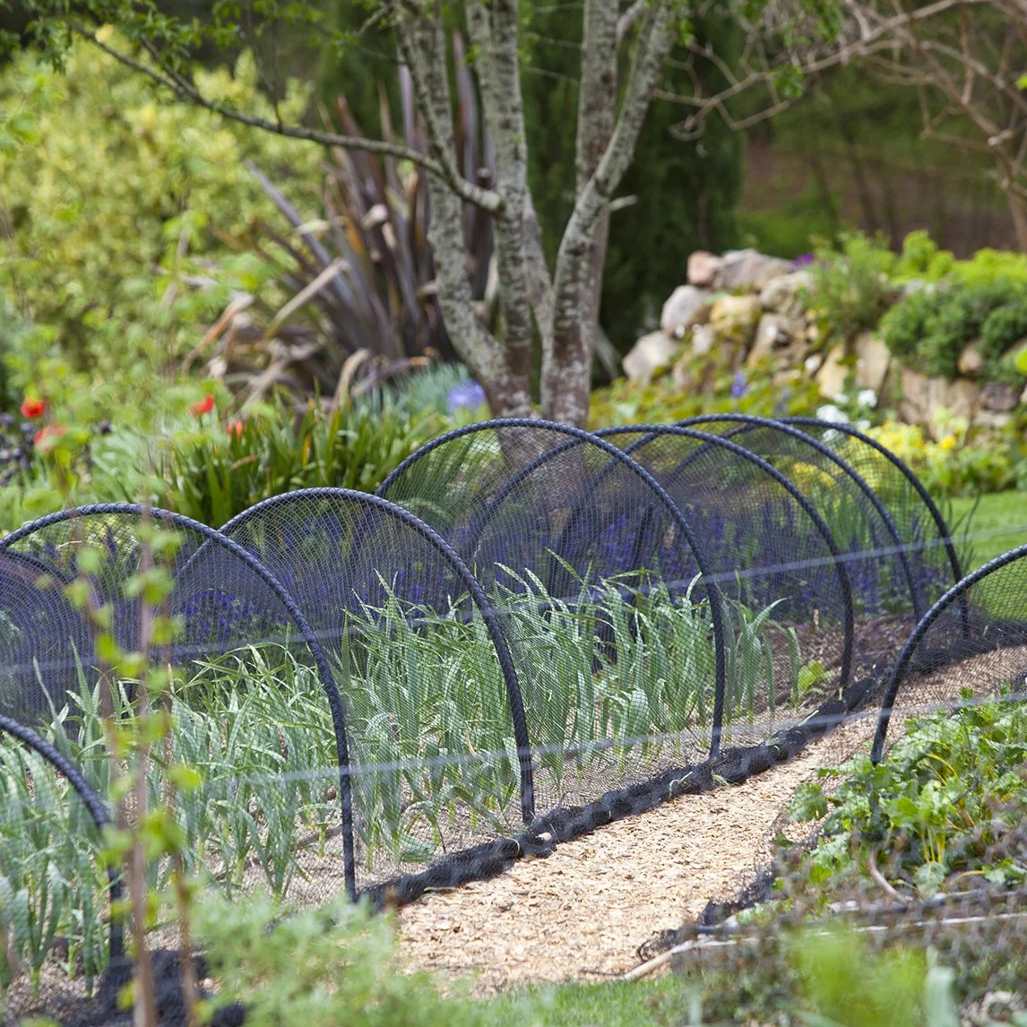Black garden netting set up as a fence around outdoor plants Black garden netting set up as a fence around outdoor plants