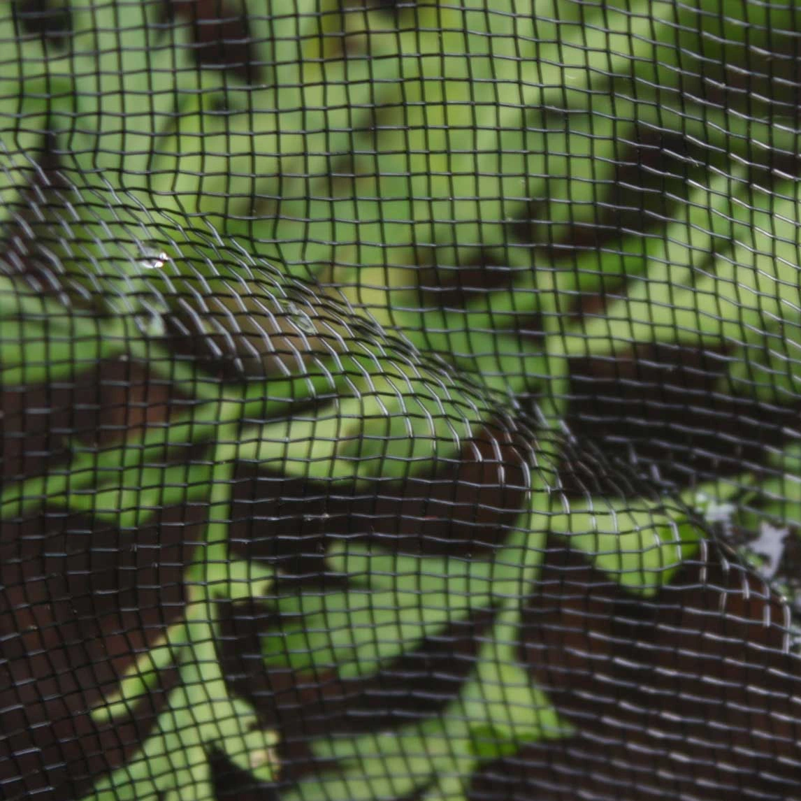 Detail of black garden netting used to protect vegetables Detail of black garden netting used to protect vegetables