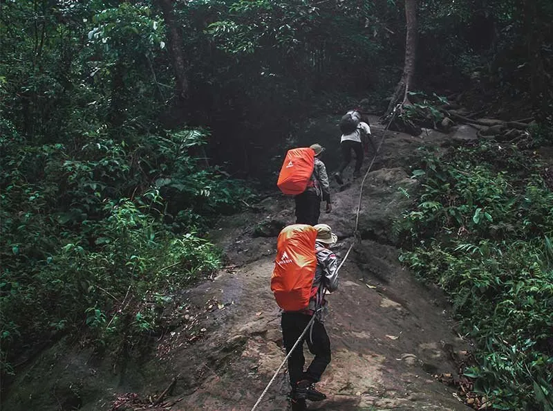 Mau Coba Naik Gunung? Ini 5 Rekomendasi Gunung di Bandung Barat dengan Track Pendek untuk Pemula