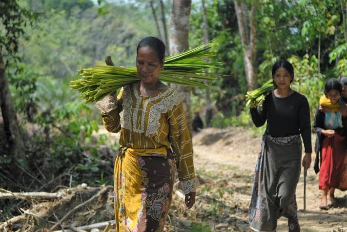 Perjuangan Masyarakat Adat Indonesia: Identitas, Hutan Adat, dan Pengakuan Hukum