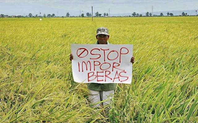 Paradoks Pangan: Mimpi Swasembada di Negeri Agraris