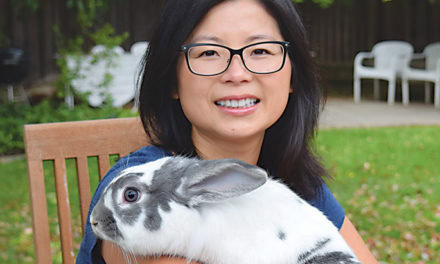 Funny Bunny