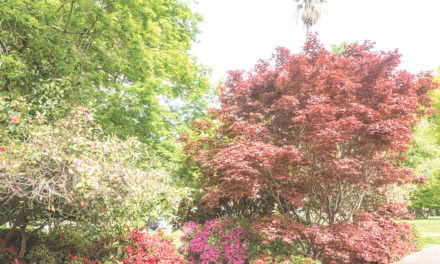 Open Gardens