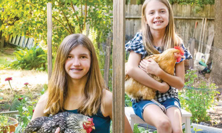 Hen Heaven
