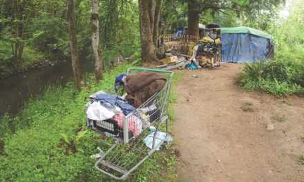 From Beauty to Blight