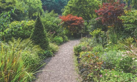 More Plants, Less Mulch