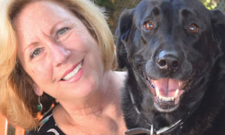 Out of the dark