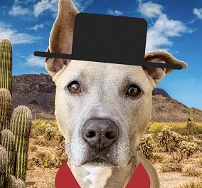 Wild Whiskers of the West Fall Gala