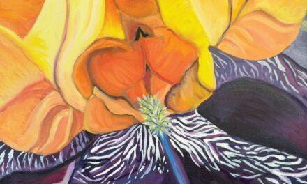 Cover Artist Matt Zidar