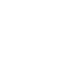 Jefes de servicio