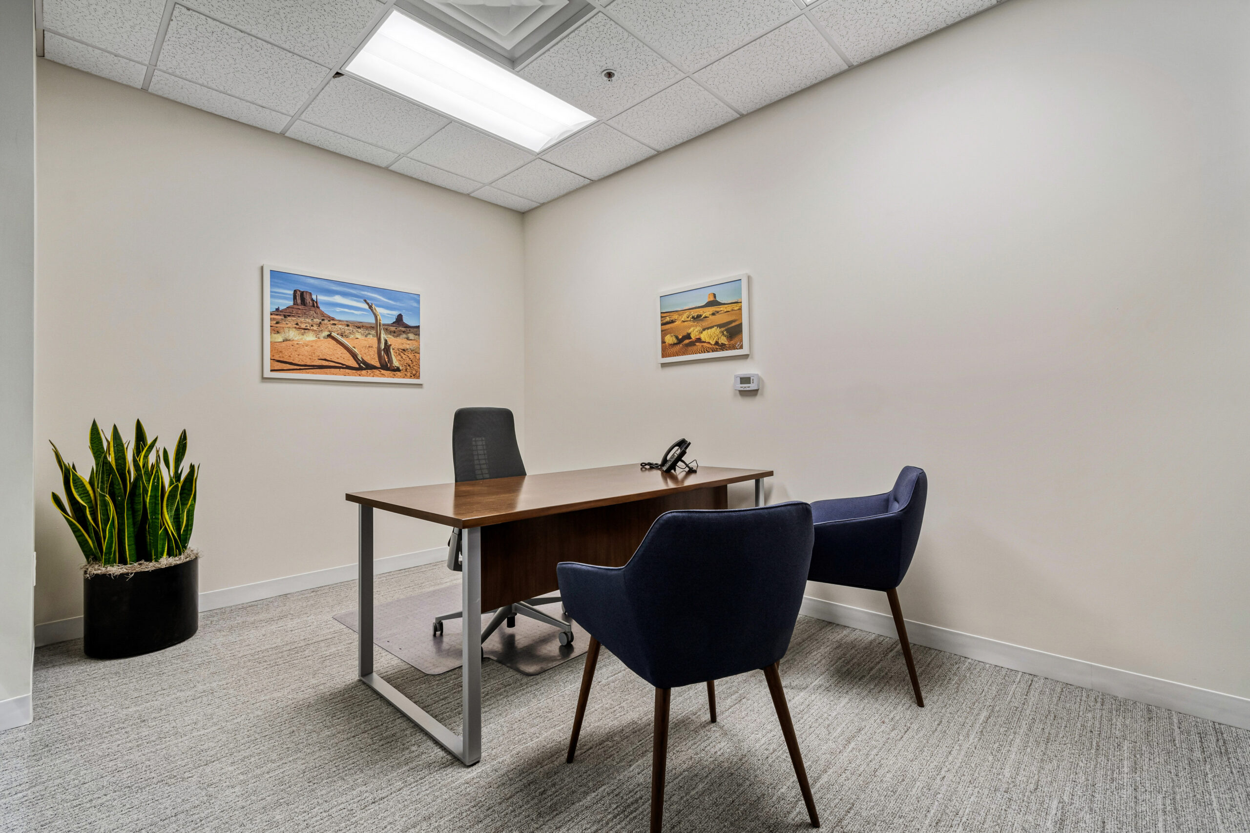 Office meeting room with modern furniture and framed landscape art for professional workspace interior design.