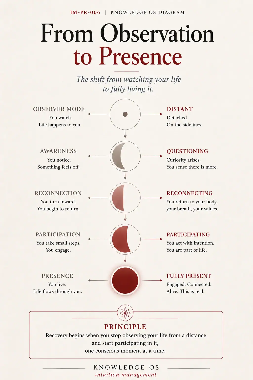 From Observation to Presence showing observer mode, awareness, reconnection, participation, and full presence