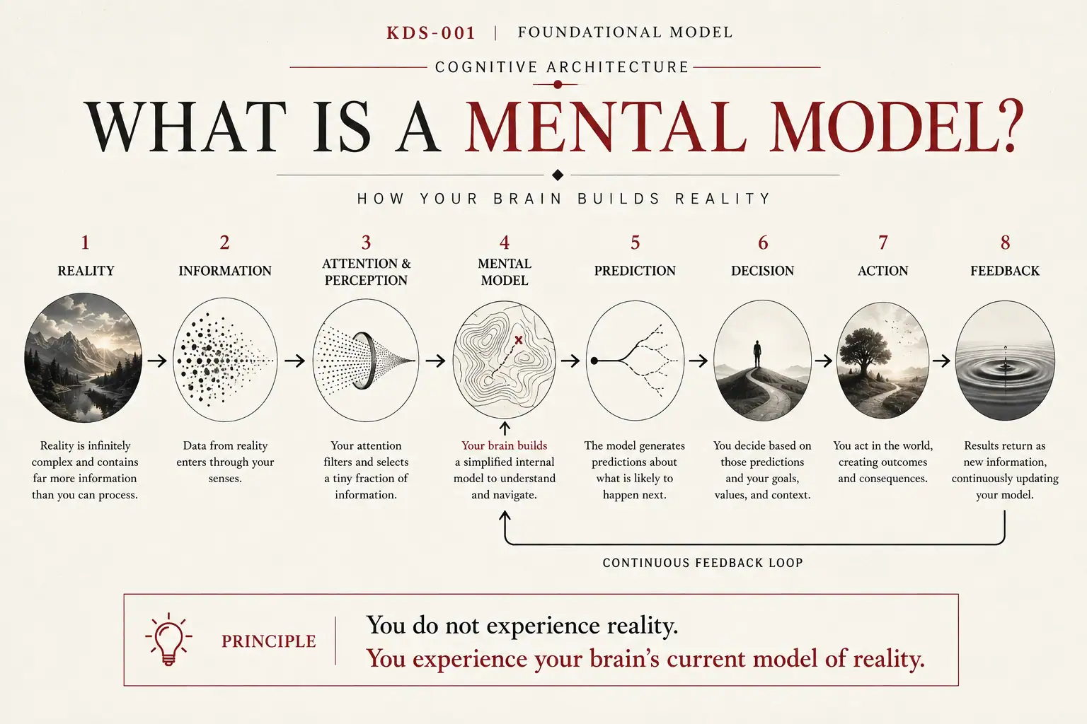 What Is a Mental Model diagram showing reality, information, attention and perception, mental model, prediction, decision, action, and feedback