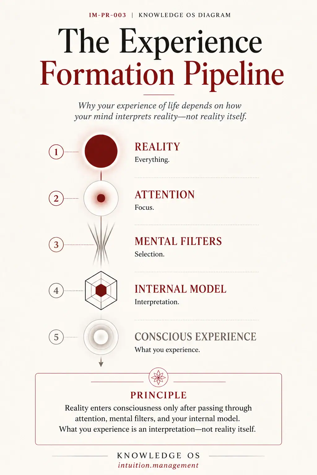 The Experience Formation Pipeline showing reality, attention, mental filters, internal model, and conscious experience