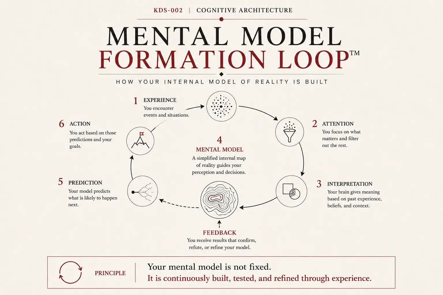 Mental Model Formation Loop diagram showing experience, attention, interpretation, mental model, prediction, action, and feedback