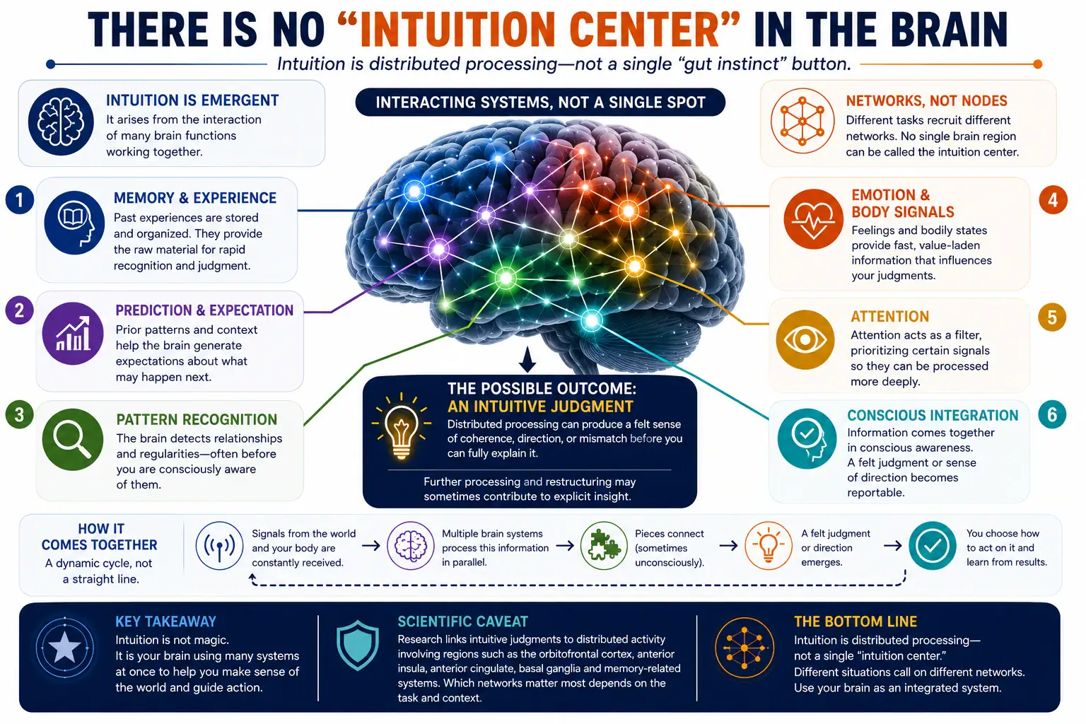 Distributed brain networks involved in intuitive judgment rather than a single intuition center