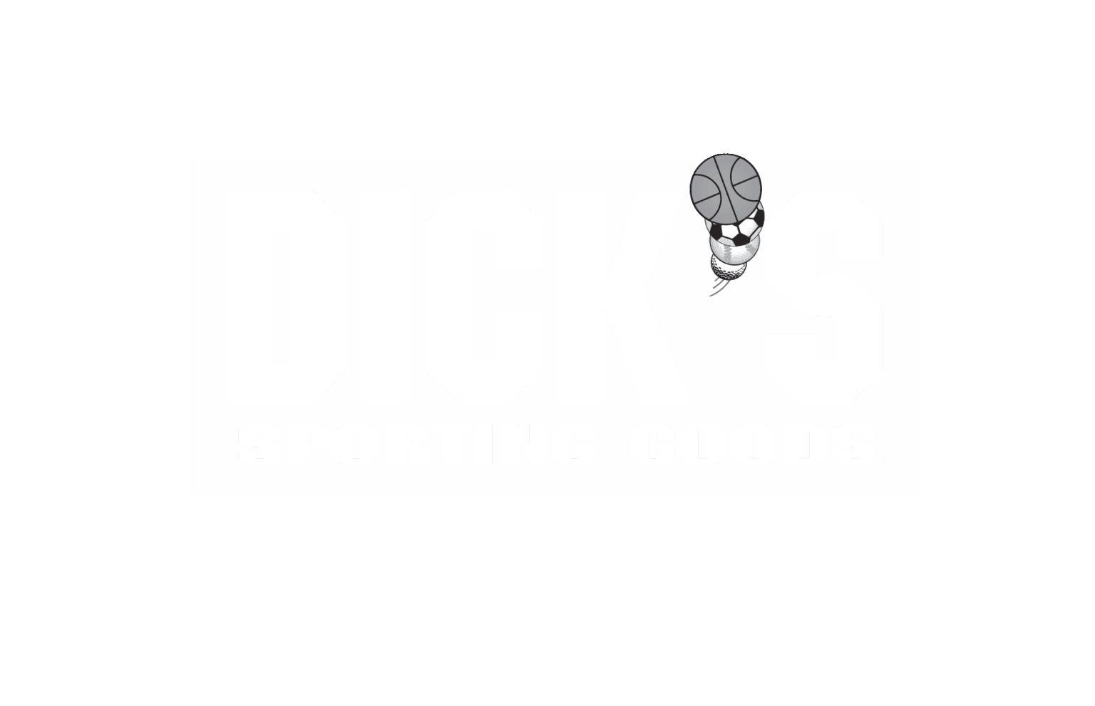 Dick's Sporting Goods