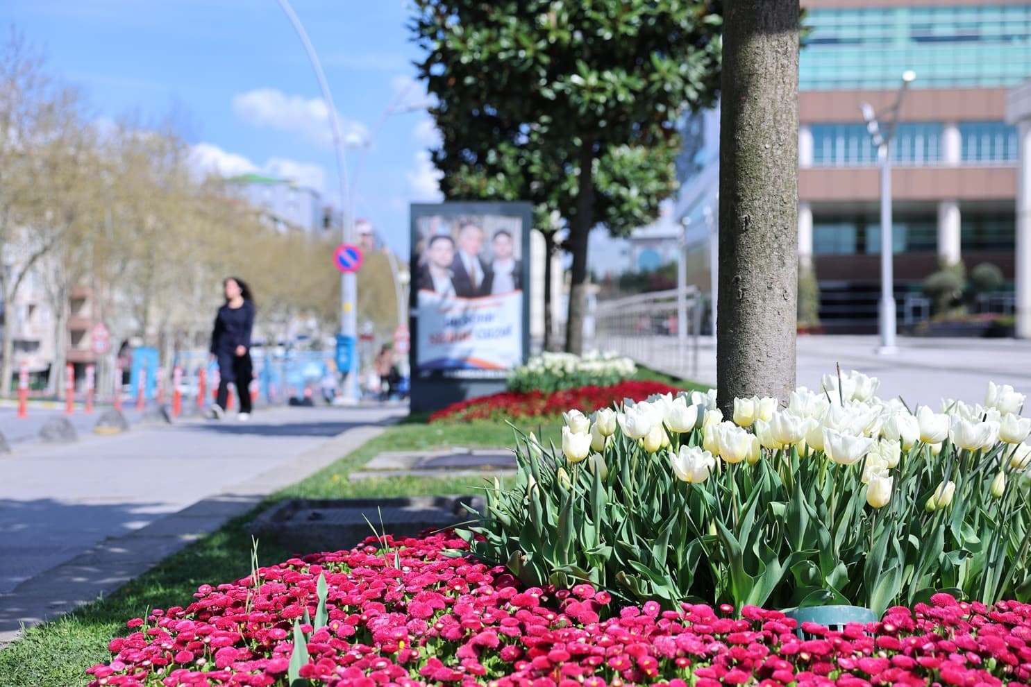 sultangazinin cadde ve sokaklarina bahar geldi 1744118654 397b729bea137555a491