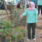 Faradillah Zahara meninjau pelaksanaan Lomba PKK, di Kumpeh Ilir, Muarojambi