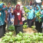 Ketua PKK Muarojambi, Faradillah Zahara, saksikan Lomba PKK, di Desa Bukit Makmur, Sabtu, 7 Oktober 2023 | DKI-MJ