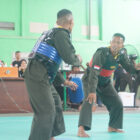 Pertandingan pencak silat memeriahkan HUT Republik Indonesia | prm