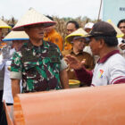 Danrem 042/Gapu, Brigjen TNI Heri Purwanto, panen raya jagung serentak, di Tanjung Jabung Timur, Sabtu | prm
